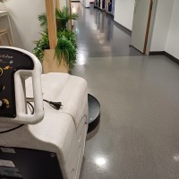 Cleanliness Collection