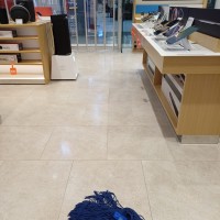 Cleanliness Collection