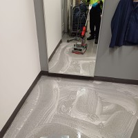 Cleanliness Collection