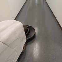 Cleanliness Collection