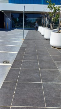 Cleanliness Collection