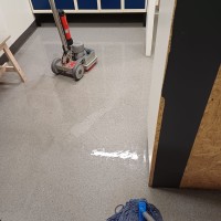 Cleanliness Collection