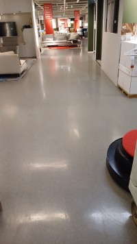 Cleanliness Collection