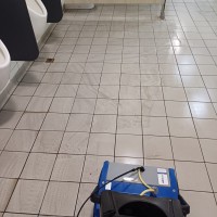 Cleanliness Collection